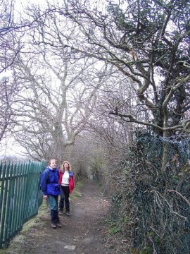 Overhanging lane